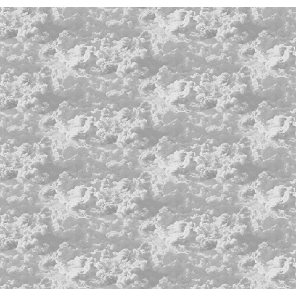 MONETA (W315)x(H280)=8.82 M2