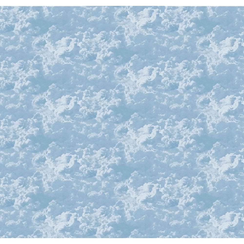 MONETA (W315)x(H280)=8.82 M2
