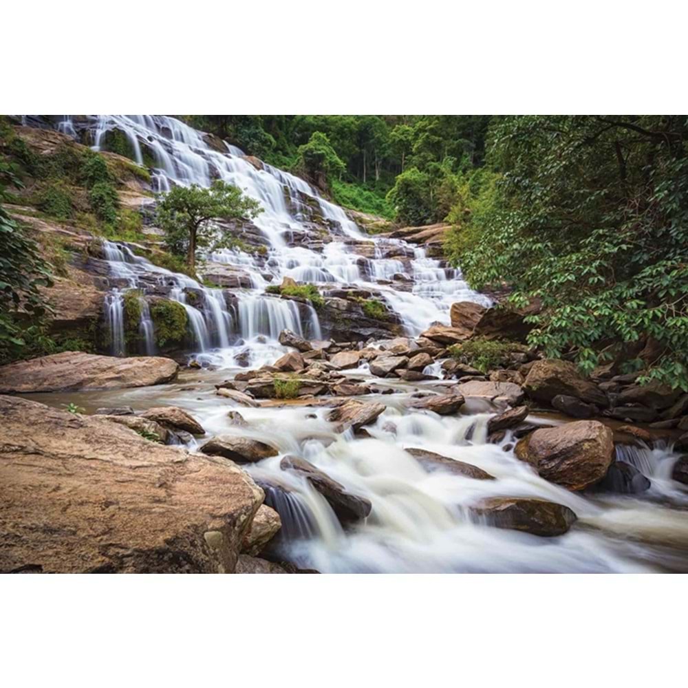 MONETA VOL.2 (W420)x(H280)=11.76 M2