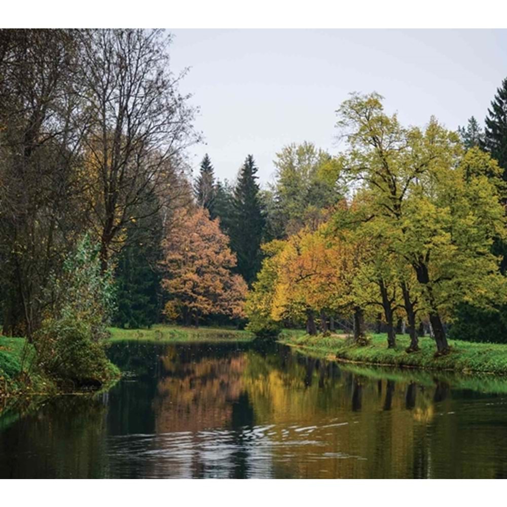 MONETA VOL.2 (W315)x(H280)=8.82 M2