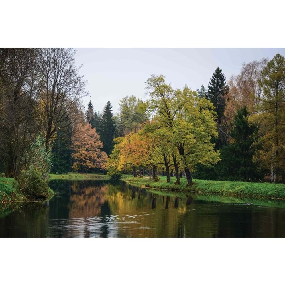 MONETA VOL.2 (W420)x(H280)=11.76 M2