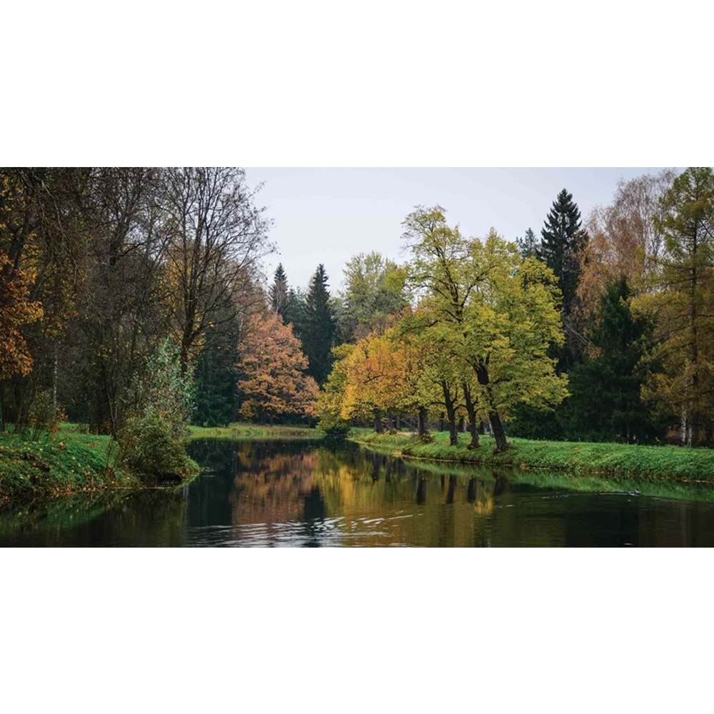 MONETA VOL.2 (W525)x(H280)=14.70 M2