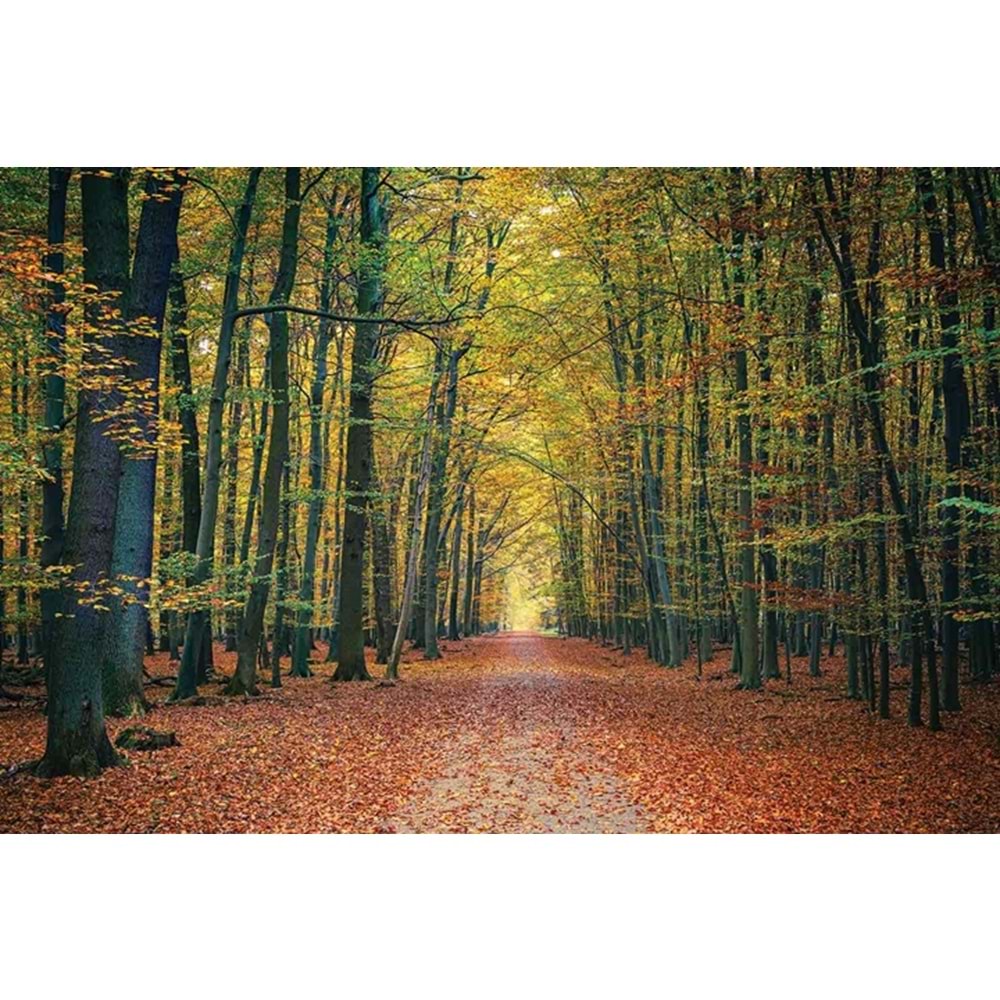 MONETA VOL.2 (W420)x(H280)=11.76 M2