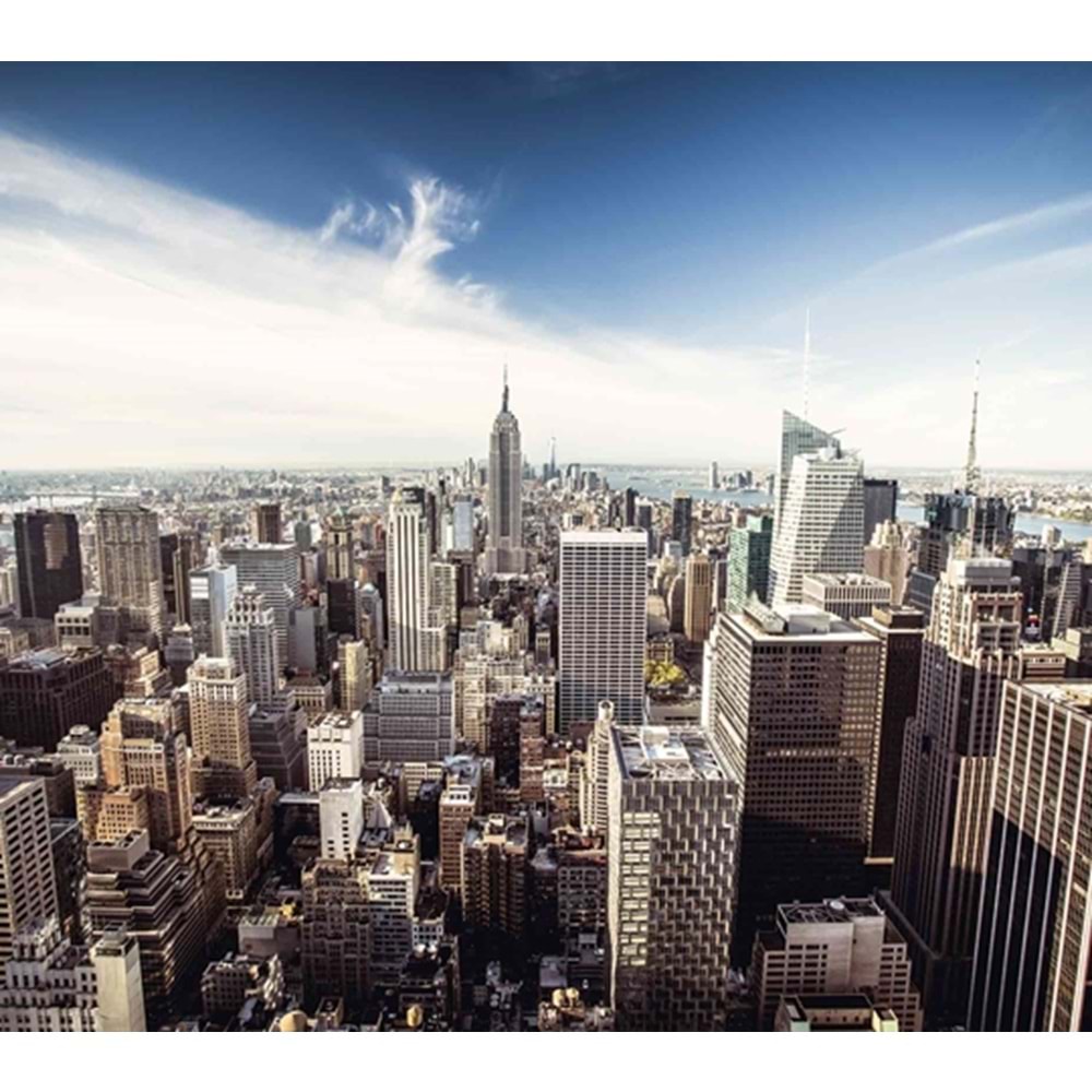 MONETA VOL.2 (W315)x(H280)=8.82 M2