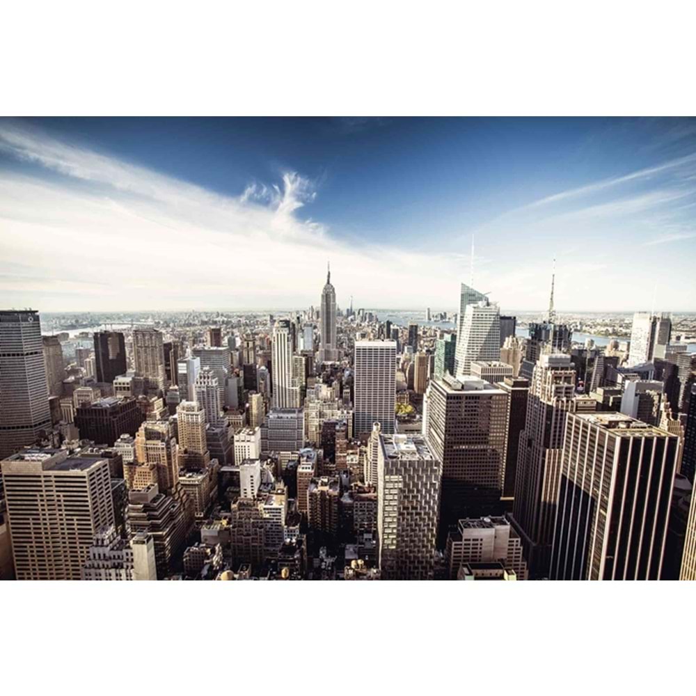 MONETA VOL.2 (W420)x(H280)=11.76 M2