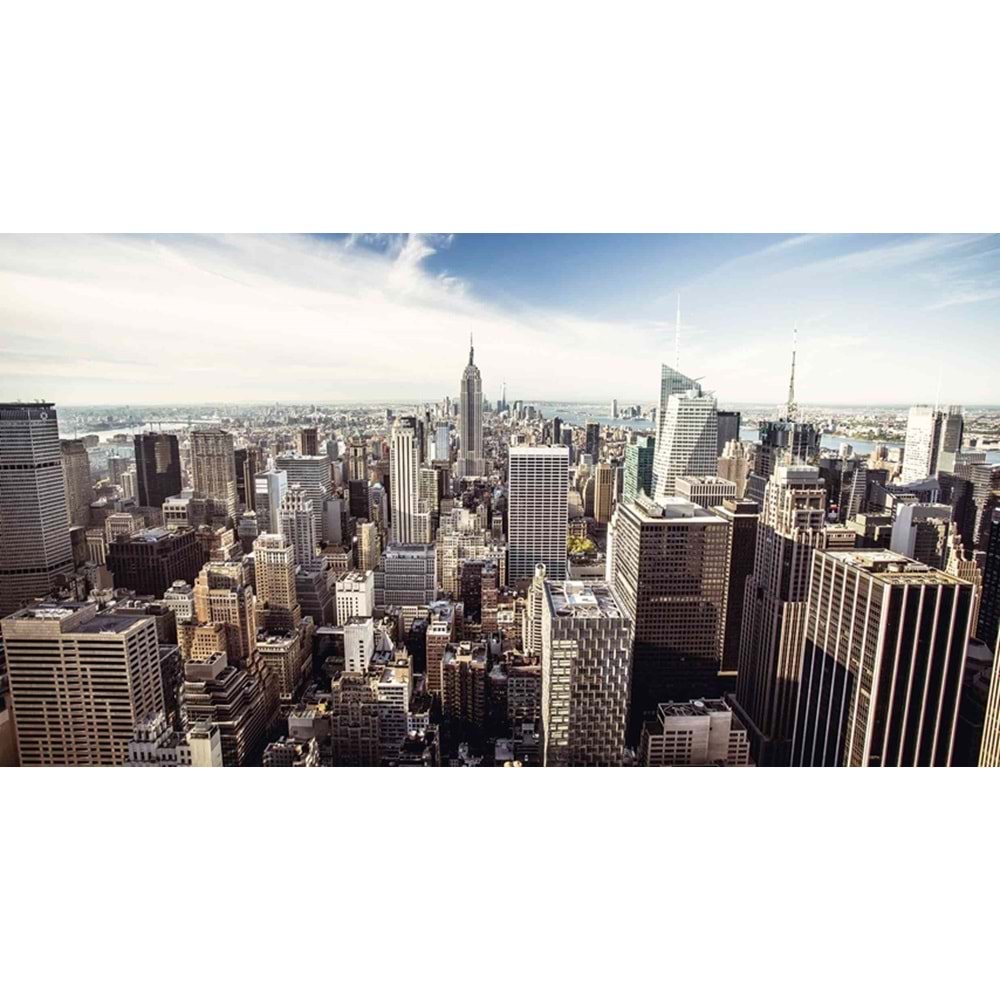 MONETA VOL.2 (W525)x(H280)=14.70 M2