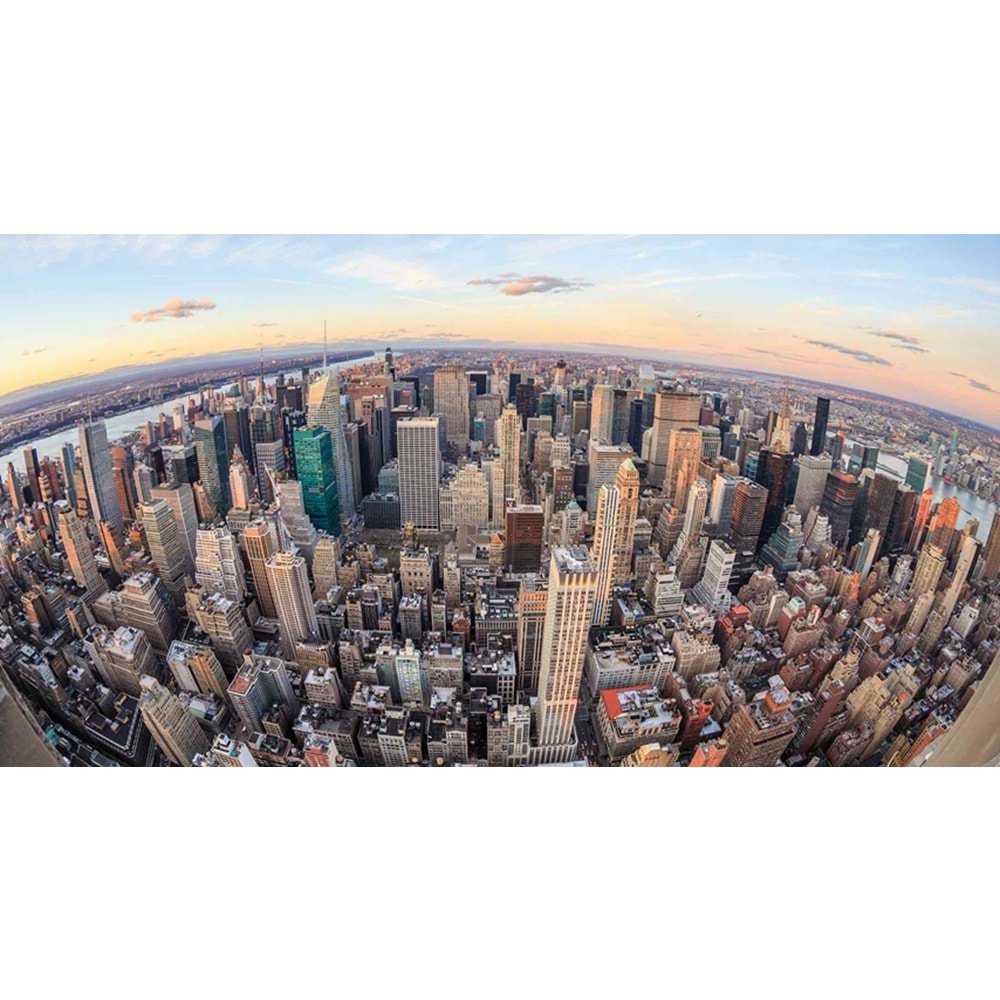 MONETA VOL.2 (W525)x(H280)=14.70 M2