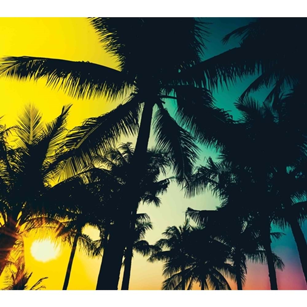 MONETA (W315)x(H280)=8.82 M2