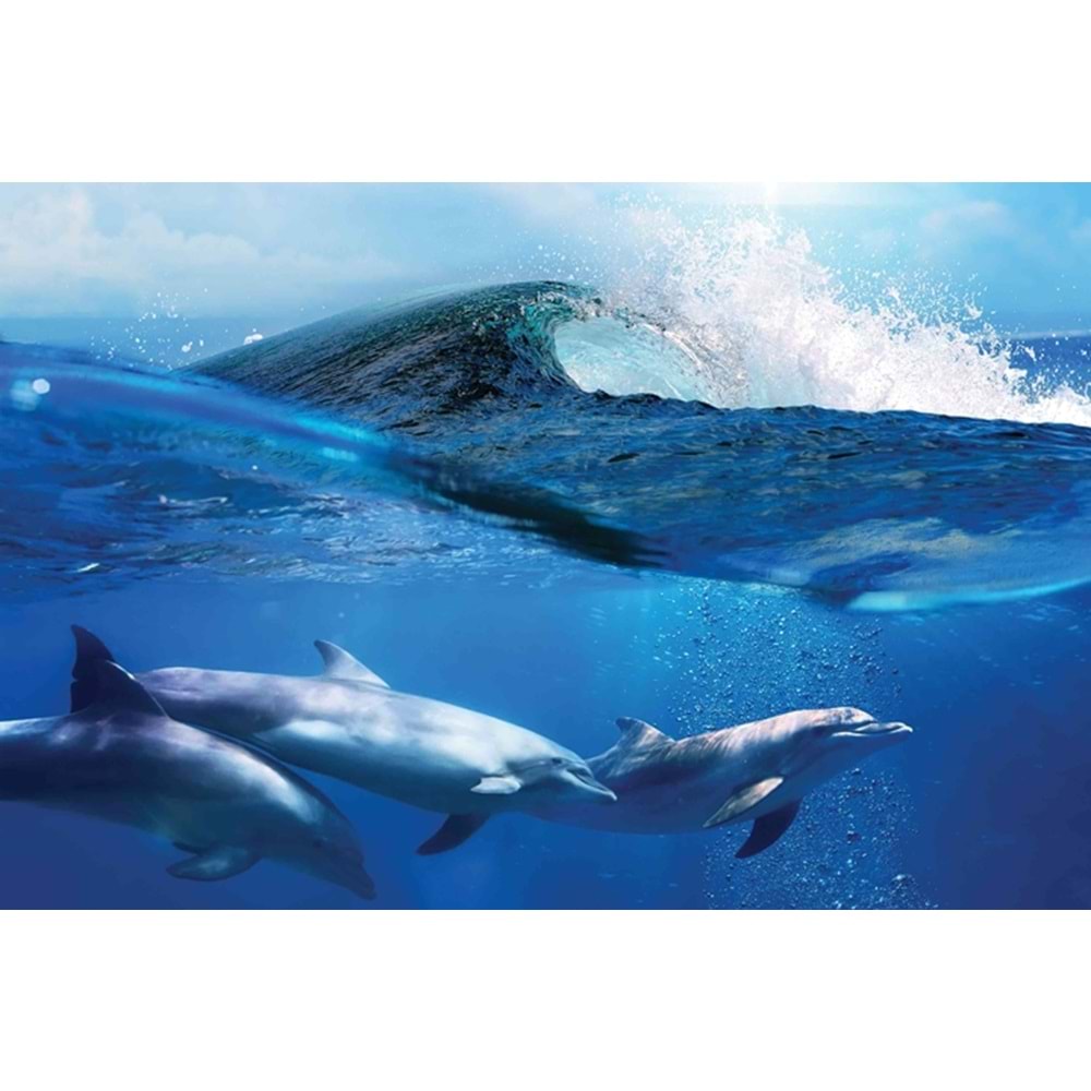 MONETA VOL.2 (W420)x(H280)=11.76 M2