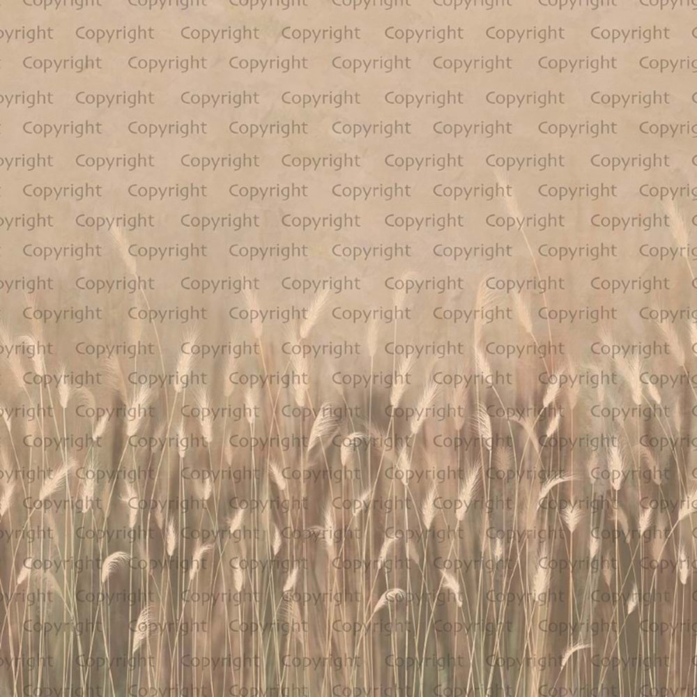 SEASONS POSTER (W525)x(H280)=14,70 M2