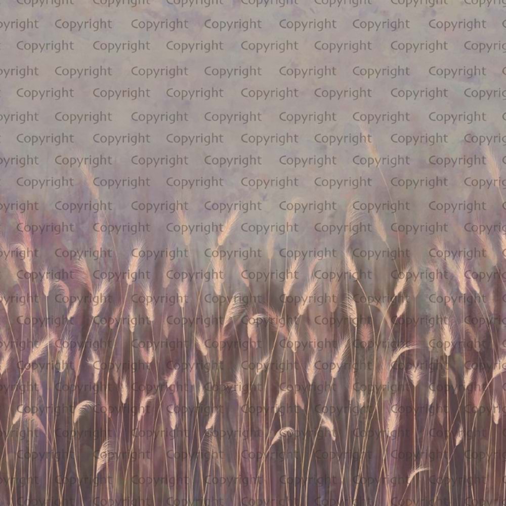 SEASONS POSTER (W525)x(H280)=14,70 M2