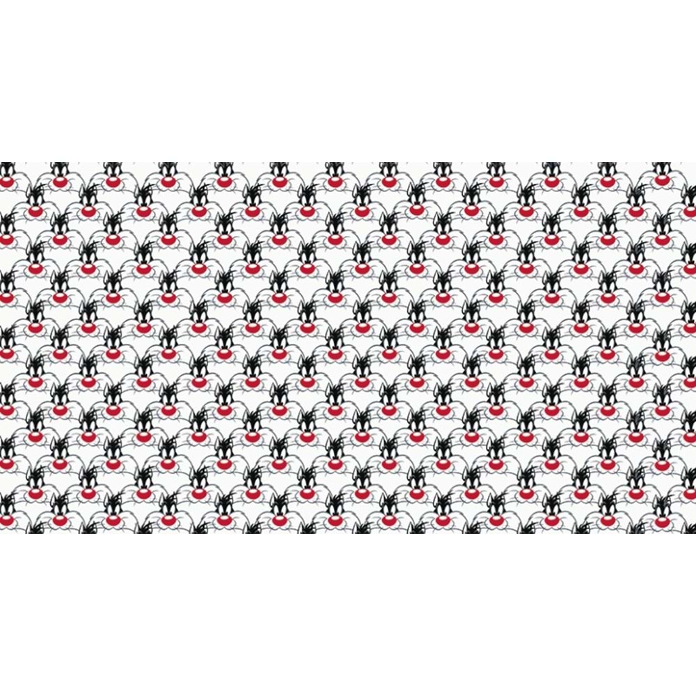 ADA KIDS POSTER (W525)x(H280)=14.70 M2