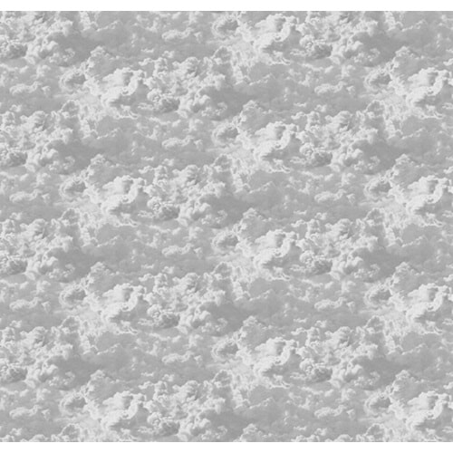 MONETA (W315)x(H280)=8.82 M2