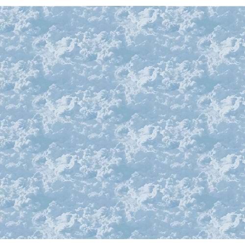MONETA (W315)x(H280)=8.82 M2