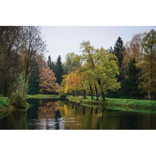 MONETA VOL.2 (W420)x(H280)=11.76 M2