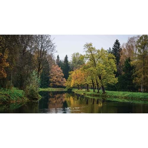 MONETA VOL.2 (W525)x(H280)=14.70 M2