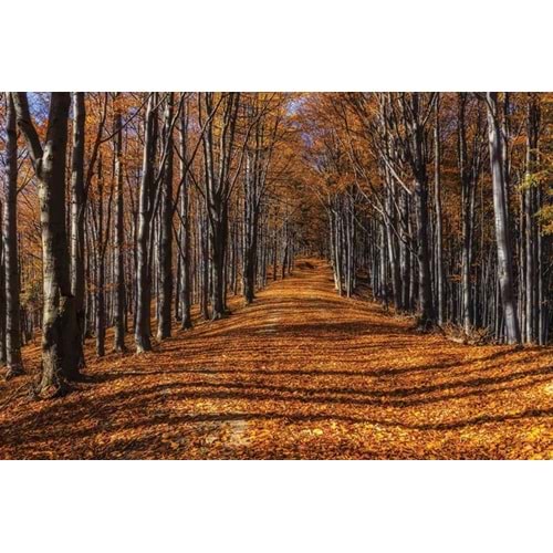 MONETA VOL.2 (W420)x(H280)=11.76 M2