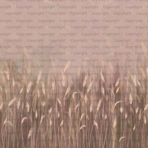 SEASONS POSTER (W525)x(H280)=14,70 M2