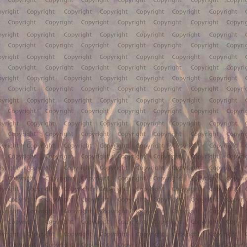 SEASONS POSTER (W525)x(H280)=14,70 M2