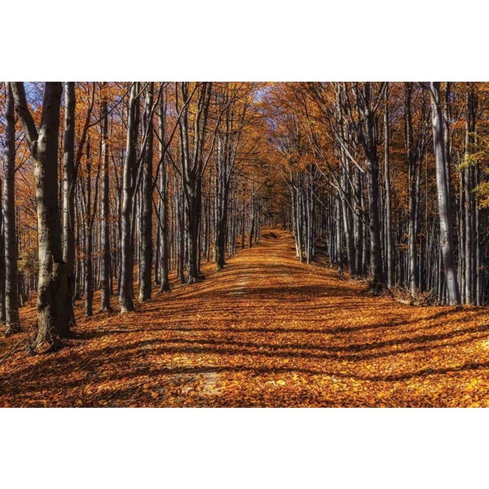 MONETA VOL.2 (W420)x(H280)=11.76 M2